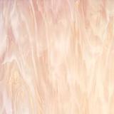 24 x 24 Oceanside Pink Champagne and White Semi-Wispy - 96 COE