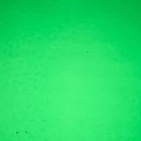 16 x 20 Wissmach Irish Green Transparent
