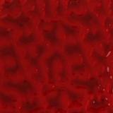 10 x 16 Wissmach Red Transparent Flemish
