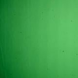 16 x 20 Wissmach Forest Green Transparent