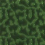 16 x 20 Wissmach Medium Army Green Transparent Flemish