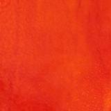 16 x 20 Wissmach Light Orange Corella Classic