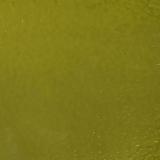 16 x 20 Wissmach Dark Yellow Green Corella Classic