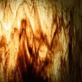 10 x 16 Wissmach Beech Transparent Streaky