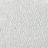 12 x 12 Tiffany Today Select Clear Current