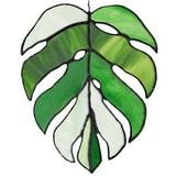 Monstera Leaf Pre-Cut