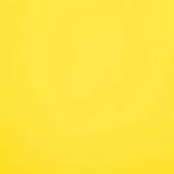 10 x 16 Wissmach Gold Tone Opal - 96 COE
