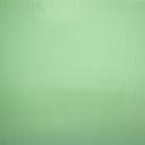 Wissmach Mint Green Opal - 96 COE