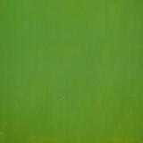 Wissmach Jade Green Opal - 96 COE