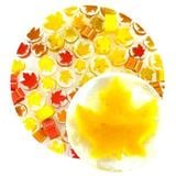 Assorted Leaves Millefiori - 90 COE