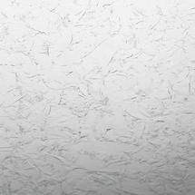 12 x 12 Clear Single Glue Chip