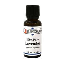 Delphi Superior Lavender Oil - 1 oz