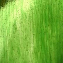 Jade Streaky Chromacoats