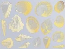 Seashells Gold Enamel Decals