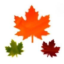 Maple Leaves Pre-Cut Assortment 3 Pack - 96 COE