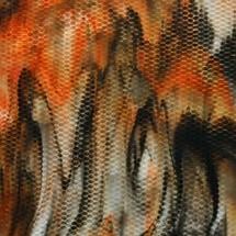 Uro Koi Fish, White with Orange, Yellow and Black Radium