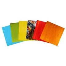 Tiffany Today Koi Pond Stained Glass Pack