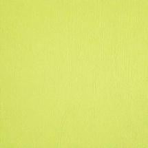 Y96 Spring Green Tint Transparent - 96 COE