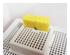 126153_1 thumbnail image