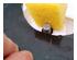 126153_4 thumbnail image