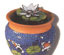 144341_3 thumbnail image