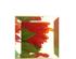 144372_1 thumbnail image