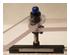 144449_2 thumbnail image