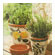 144552_2 thumbnail image