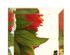 144617_1 thumbnail image