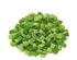 144728_1 thumbnail image