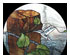 147007_1 thumbnail image