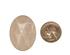 147980_1 thumbnail image
