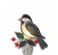148077_1 thumbnail image