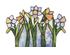 148286_2 thumbnail image