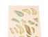 148382_4 thumbnail image