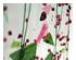 148929_2 thumbnail image