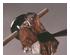 149089_2 thumbnail image