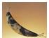 149089_5 thumbnail image