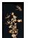 149089_6 thumbnail image