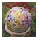 171446_5 thumbnail image