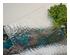 172938_5 thumbnail image