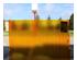 173058_2 thumbnail image