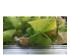173152_2 thumbnail image