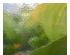173152_3 thumbnail image