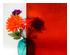 173771_2 thumbnail image