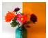 173810_4 thumbnail image