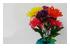 173864_1 thumbnail image