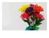 173864_6 thumbnail image