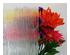 174114_4 thumbnail image