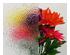 174126_4 thumbnail image